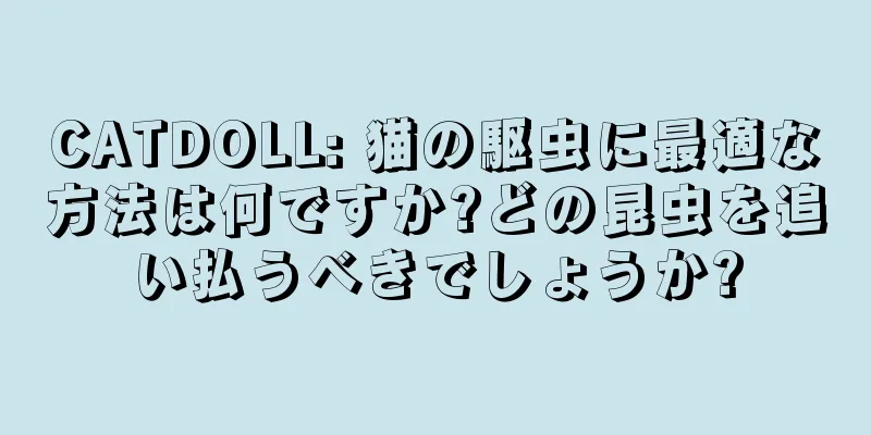 CATDOLL: 猫の駆虫に最適な方法は何ですか?どの昆虫を追い払うべきでしょうか?