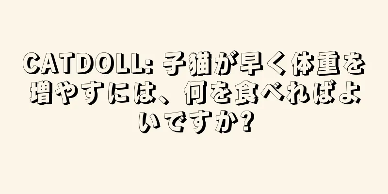 CATDOLL: 子猫が早く体重を増やすには、何を食べればよいですか?