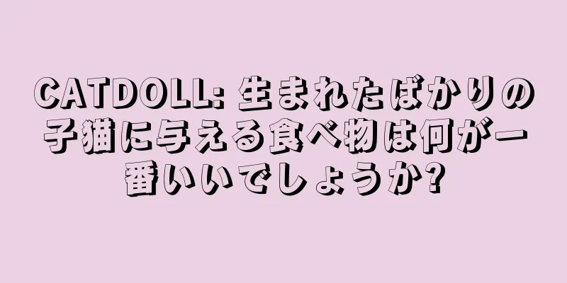 CATDOLL: 生まれたばかりの子猫に与える食べ物は何が一番いいでしょうか?