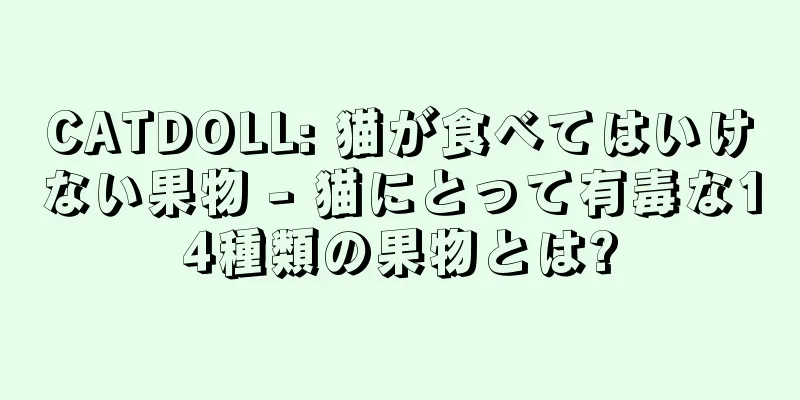 CATDOLL: 猫が食べてはいけない果物 - 猫にとって有毒な14種類の果物とは?