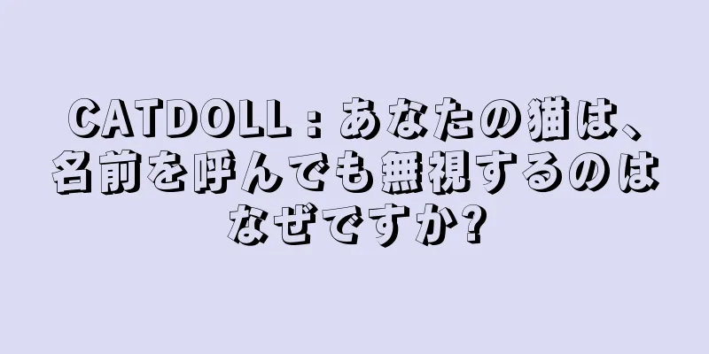 CATDOLL : あなたの猫は、名前を呼んでも無視するのはなぜですか?