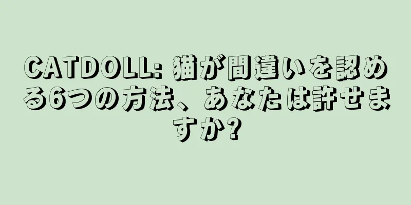 CATDOLL: 猫が間違いを認める6つの方法、あなたは許せますか?