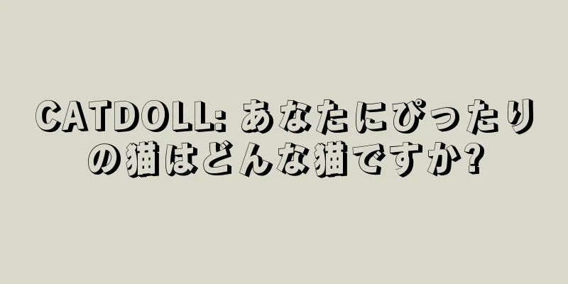 CATDOLL: あなたにぴったりの猫はどんな猫ですか?