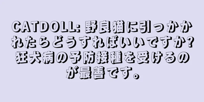CATDOLL: 野良猫に引っかかれたらどうすればいいですか?狂犬病の予防接種を受けるのが最善です。
