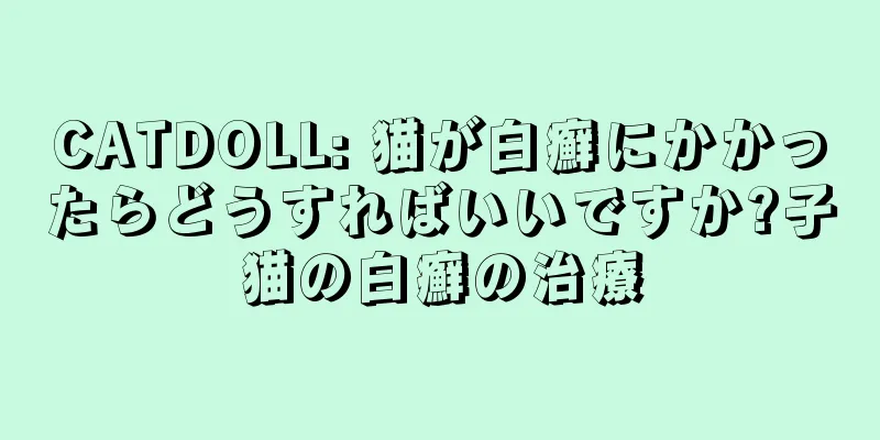 CATDOLL: 猫が白癬にかかったらどうすればいいですか?子猫の白癬の治療