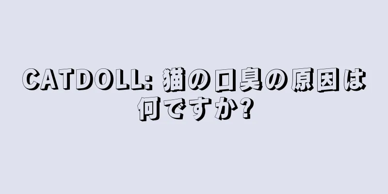 CATDOLL: 猫の口臭の原因は何ですか?