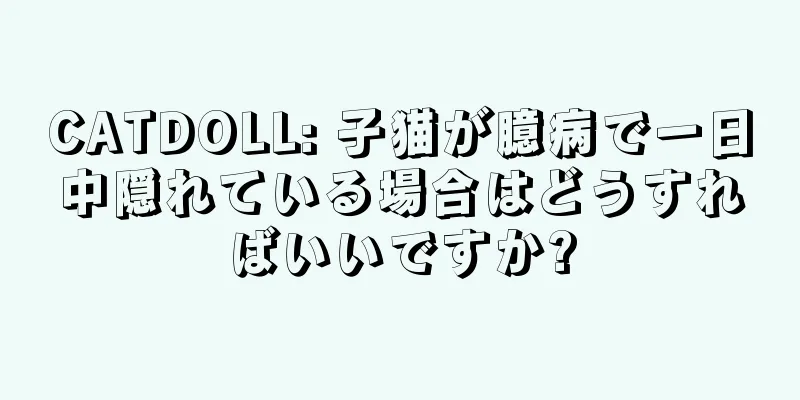 CATDOLL: 子猫が臆病で一日中隠れている場合はどうすればいいですか?