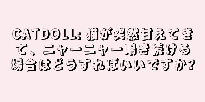 CATDOLL: 猫が突然甘えてきて、ニャーニャー鳴き続ける場合はどうすればいいですか?