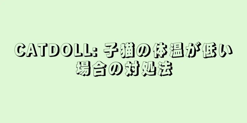 CATDOLL: 子猫の体温が低い場合の対処法