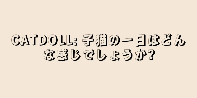 CATDOLL: 子猫の一日はどんな感じでしょうか?