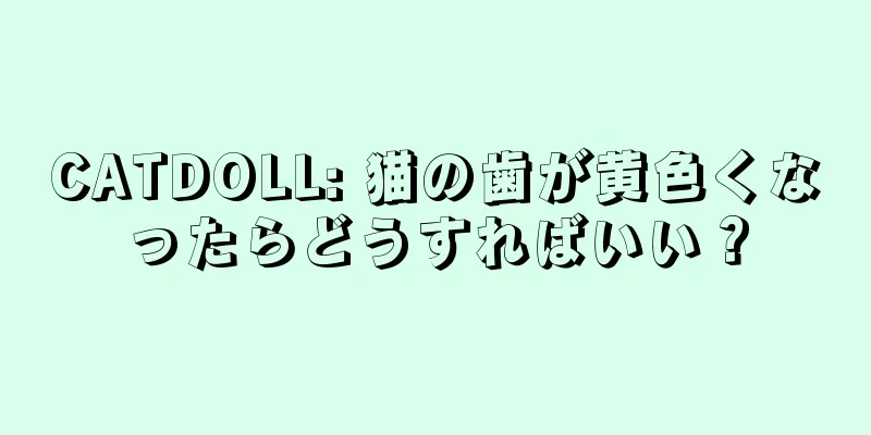 CATDOLL: 猫の歯が黄色くなったらどうすればいい？