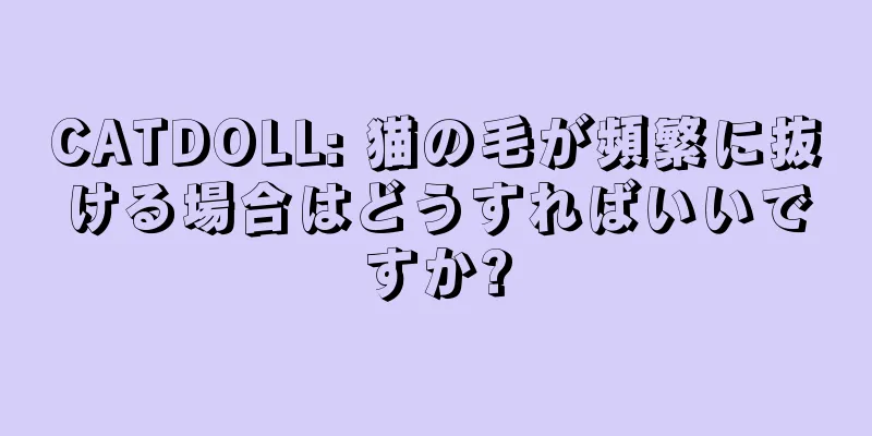 CATDOLL: 猫の毛が頻繁に抜ける場合はどうすればいいですか?