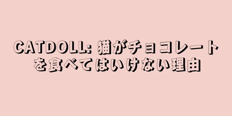 CATDOLL: 猫がチョコレートを食べてはいけない理由
