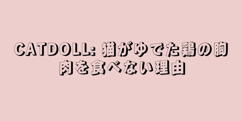 CATDOLL: 猫がゆでた鶏の胸肉を食べない理由