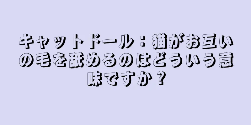 キャットドール：猫がお互いの毛を舐めるのはどういう意味ですか？
