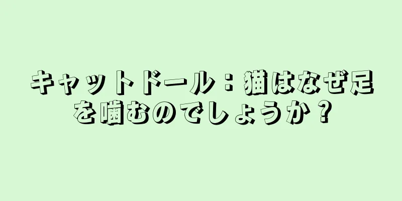 キャットドール：猫はなぜ足を噛むのでしょうか？