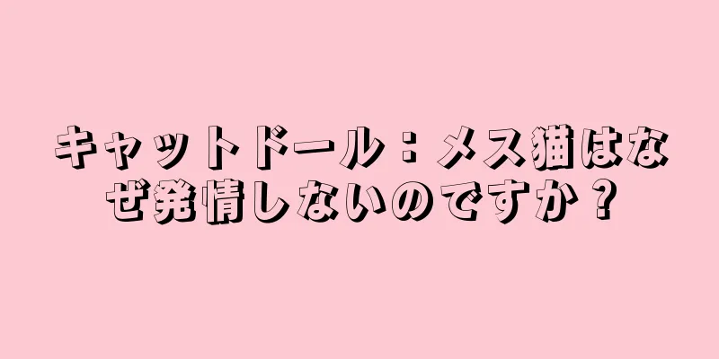 キャットドール：メス猫はなぜ発情しないのですか？