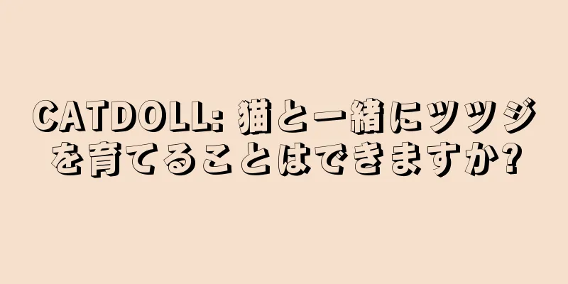 CATDOLL: 猫と一緒にツツジを育てることはできますか?