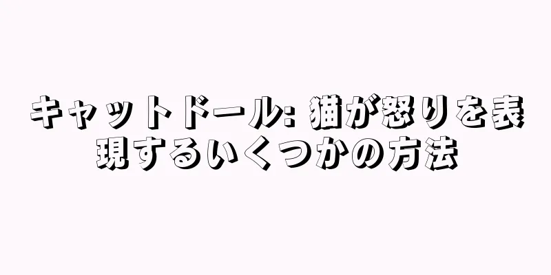 キャットドール: 猫が怒りを表現するいくつかの方法