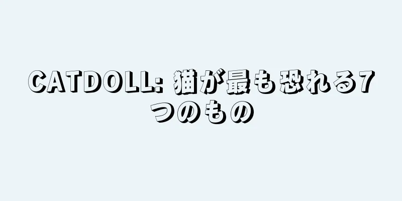 CATDOLL: 猫が最も恐れる7つのもの