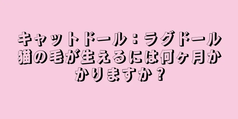 キャットドール：ラグドール猫の毛が生えるには何ヶ月かかりますか？