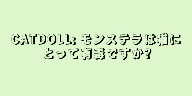 CATDOLL: モンステラは猫にとって有毒ですか?
