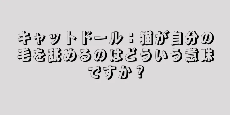 キャットドール：猫が自分の毛を舐めるのはどういう意味ですか？