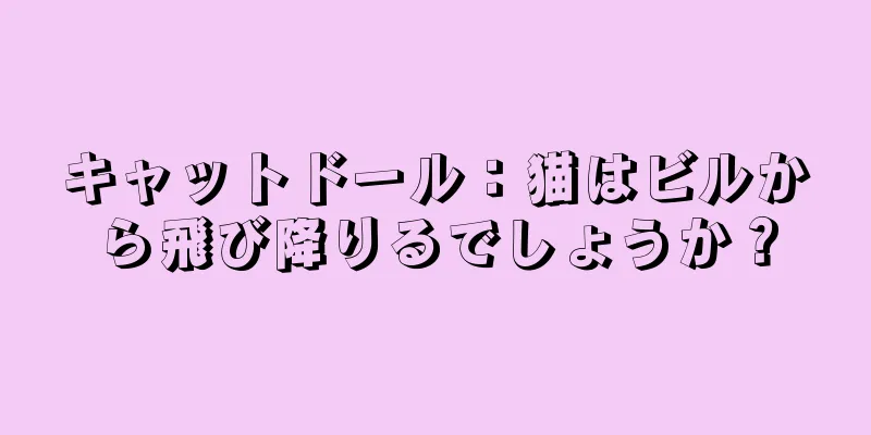 キャットドール：猫はビルから飛び降りるでしょうか？