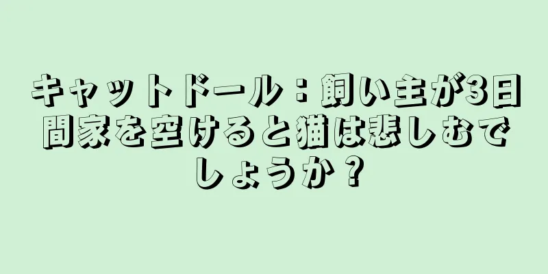 キャットドール：飼い主が3日間家を空けると猫は悲しむでしょうか？