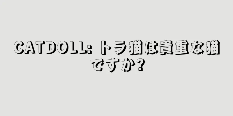 CATDOLL: トラ猫は貴重な猫ですか?
