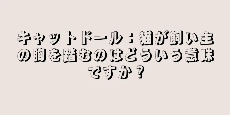キャットドール：猫が飼い主の胸を踏むのはどういう意味ですか？