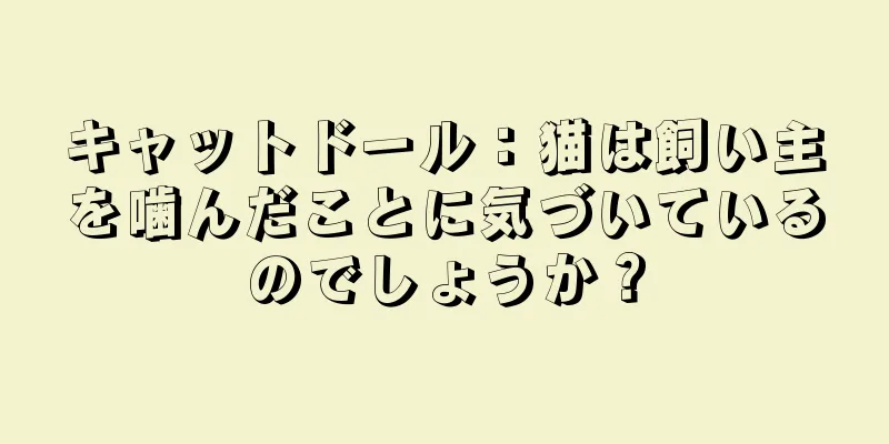 キャットドール：猫は飼い主を噛んだことに気づいているのでしょうか？