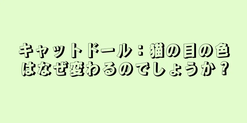キャットドール：猫の目の色はなぜ変わるのでしょうか？