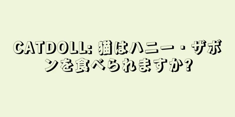 CATDOLL: 猫はハニー・ザボンを食べられますか?