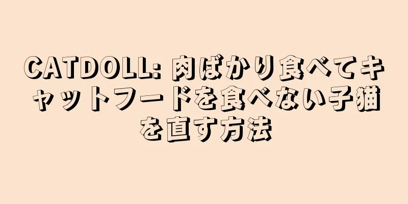 CATDOLL: 肉ばかり食べてキャットフードを食べない子猫を直す方法