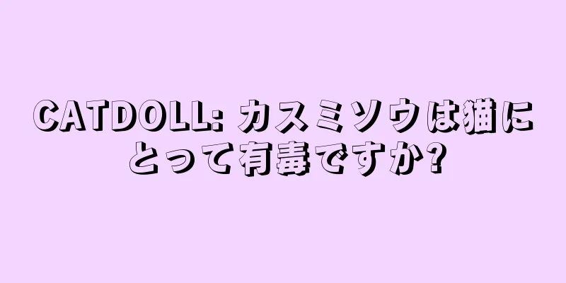 CATDOLL: カスミソウは猫にとって有毒ですか?