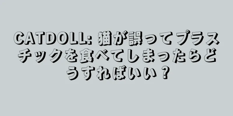 CATDOLL: 猫が誤ってプラスチックを食べてしまったらどうすればいい？