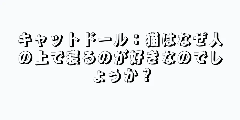 キャットドール：猫はなぜ人の上で寝るのが好きなのでしょうか？