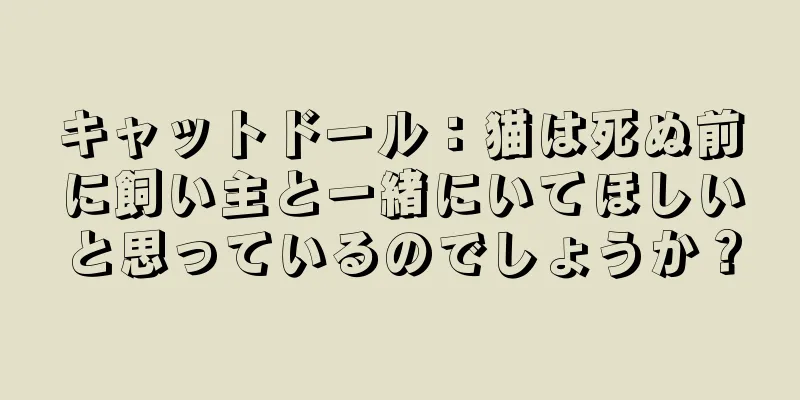 キャットドール：猫は死ぬ前に飼い主と一緒にいてほしいと思っているのでしょうか？