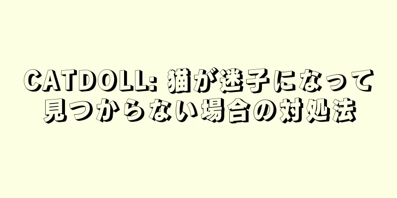 CATDOLL: 猫が迷子になって見つからない場合の対処法