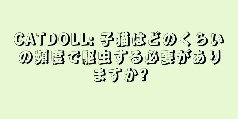CATDOLL: 子猫はどのくらいの頻度で駆虫する必要がありますか?