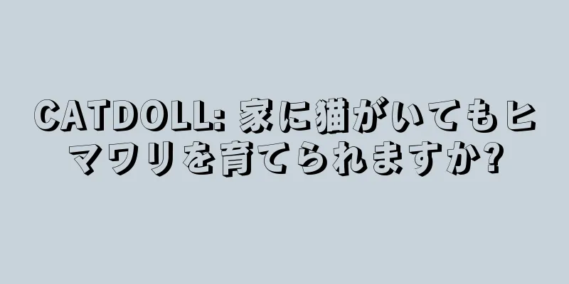 CATDOLL: 家に猫がいてもヒマワリを育てられますか?
