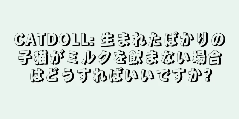 CATDOLL: 生まれたばかりの子猫がミルクを飲まない場合はどうすればいいですか?