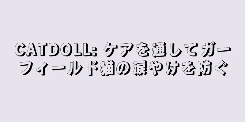 CATDOLL: ケアを通してガーフィールド猫の涙やけを防ぐ