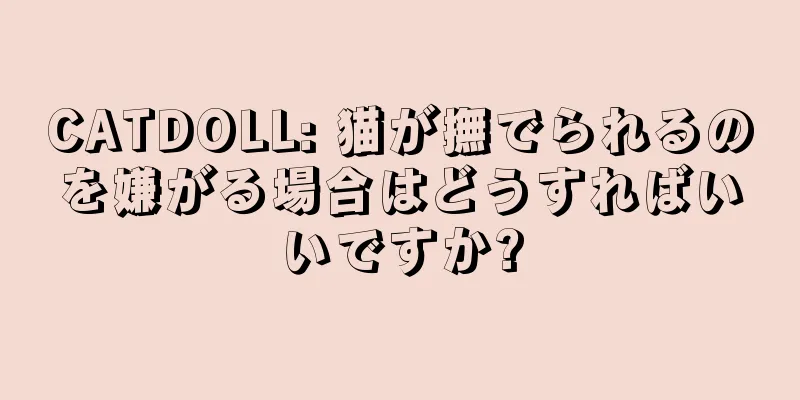 CATDOLL: 猫が撫でられるのを嫌がる場合はどうすればいいですか?