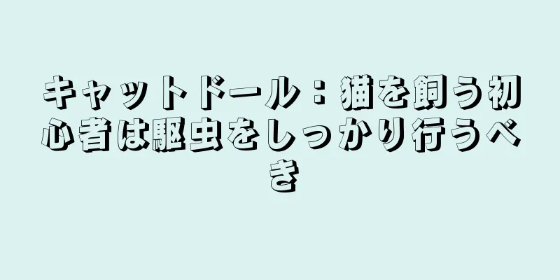 キャットドール：猫を飼う初心者は駆虫をしっかり行うべき
