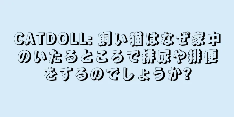 CATDOLL: 飼い猫はなぜ家中のいたるところで排尿や排便をするのでしょうか?
