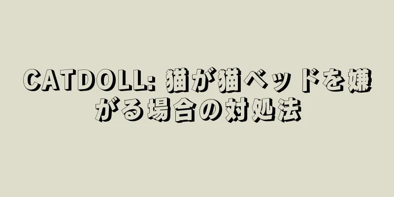 CATDOLL: 猫が猫ベッドを嫌がる場合の対処法