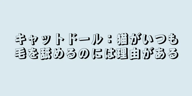 キャットドール：猫がいつも毛を舐めるのには理由がある