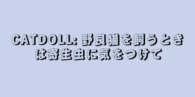 CATDOLL: 野良猫を飼うときは寄生虫に気をつけて